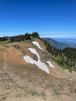 IMG_9119.jpeg IMG_9119.jpeg