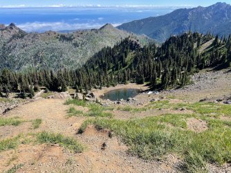 IMG_9124.jpeg IMG_9124.jpeg