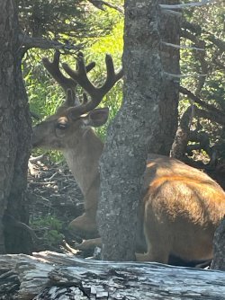 IMG_9130.jpeg IMG_9130.jpeg