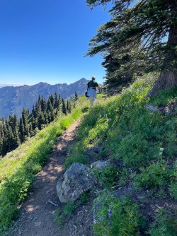 IMG_9131.jpeg IMG_9131.jpeg