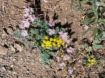 IMG_9136.jpeg IMG_9136.jpeg