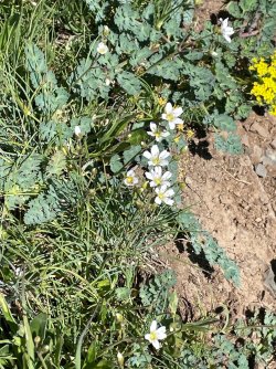 IMG_9137.jpeg IMG_9137.jpeg