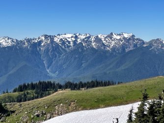 IMG_9139.jpeg IMG_9139.jpeg