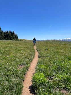 IMG_9147.jpeg IMG_9147.jpeg