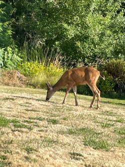 IMG_9154.jpeg IMG_9154.jpeg