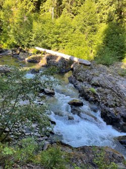 IMG_9156.jpeg IMG_9156.jpeg