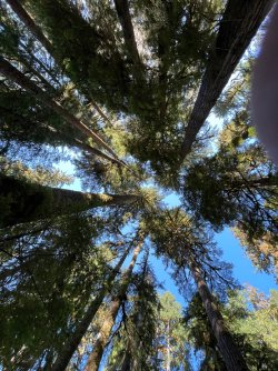 IMG_9162.jpeg IMG_9162.jpeg