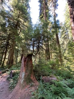 IMG_9168.jpeg IMG_9168.jpeg