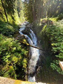 IMG_9175.jpeg IMG_9175.jpeg