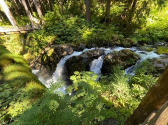 IMG_9177.jpeg IMG_9177.jpeg