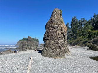 IMG_9214.jpeg IMG_9214.jpeg