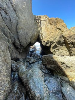 IMG_9216.jpeg IMG_9216.jpeg