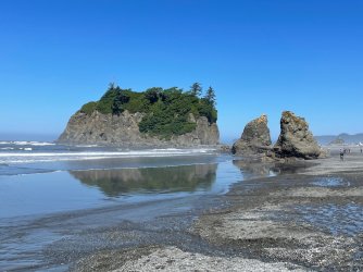 IMG_9222.jpeg IMG_9222.jpeg