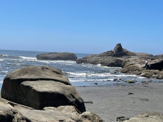 IMG_9274.jpeg IMG_9274.jpeg