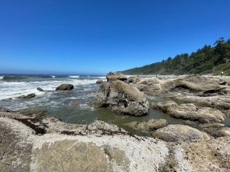 IMG_9278.jpeg IMG_9278.jpeg