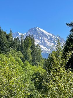 IMG_9310.jpeg IMG_9310.jpeg