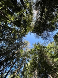 IMG_9314.jpeg IMG_9314.jpeg