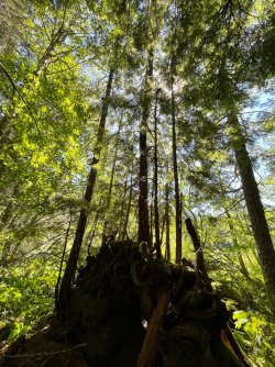 IMG_9318.jpeg IMG_9318.jpeg