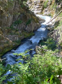 IMG_9329.jpeg IMG_9329.jpeg