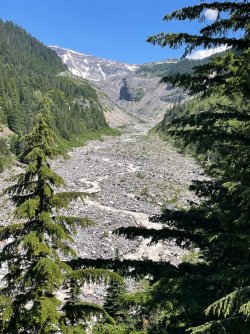 IMG_9333.jpeg IMG_9333.jpeg