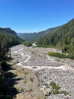 IMG_9335.jpeg IMG_9335.jpeg