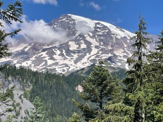 IMG_9337.jpeg IMG_9337.jpeg