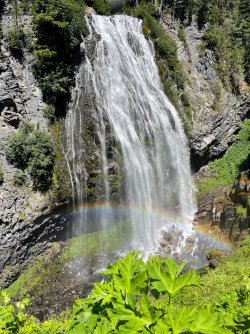 IMG_9347.jpeg IMG_9347.jpeg