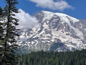 IMG_9349.jpeg IMG_9349.jpeg