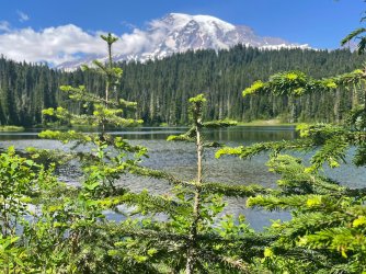 IMG_9357.jpeg IMG_9357.jpeg