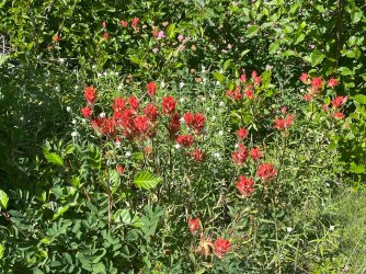 IMG_9362.jpeg IMG_9362.jpeg