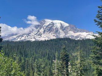 IMG_9365.jpeg IMG_9365.jpeg