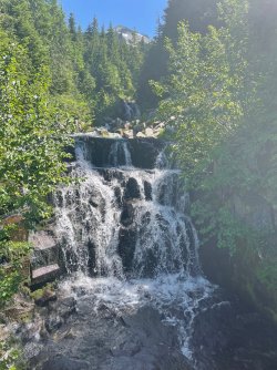 IMG_9366.jpeg IMG_9366.jpeg