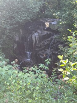 IMG_9371.jpeg IMG_9371.jpeg