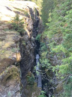 IMG_9384.jpeg IMG_9384.jpeg