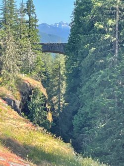 IMG_9388.jpeg IMG_9388.jpeg