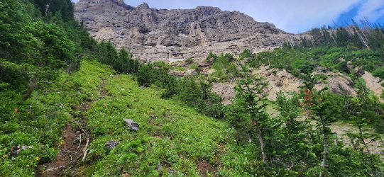 20250723_082452.jpg 20250723_082452.jpg
