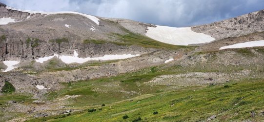 20250723_095550.jpg 20250723_095550.jpg