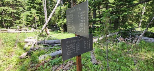 20250725_124858.jpg 20250725_124858.jpg