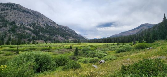 20250726_153950.jpg 20250726_153950.jpg