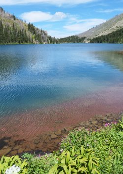 P1070330-copy-2.jpg