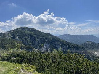 IMG_1466.jpeg