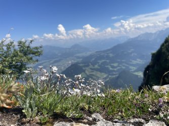 IMG_1464.jpeg