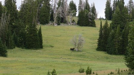 IMG_1837.JPG