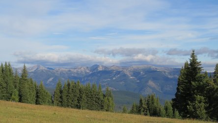 IMG_1842.JPG