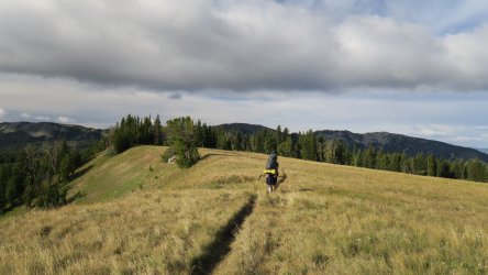 IMG_1853.JPG