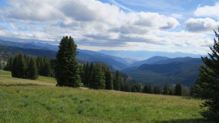 IMG_1865.JPG