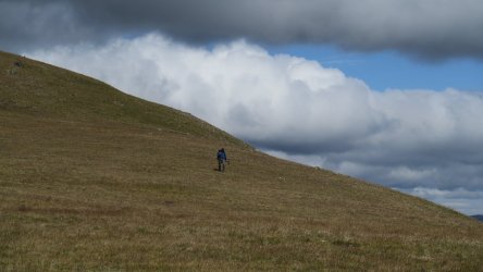 IMG_1875.JPG
