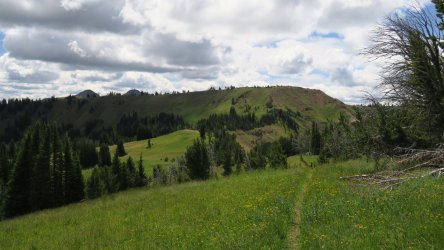 IMG_1898.JPG