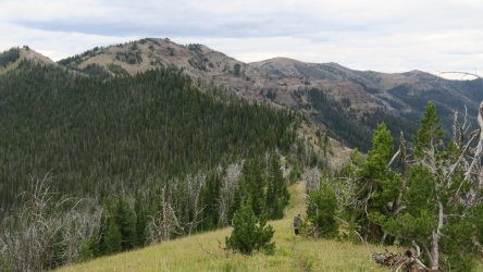 IMG_1931.JPG