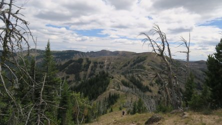 IMG_1944.JPG